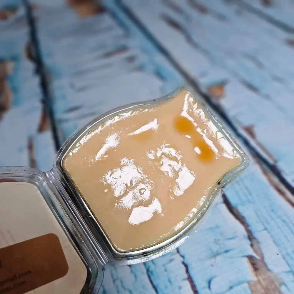Scentsy Churro Churro Wax Bar New Retired Scent 3.2 fl oz Consultant Stash